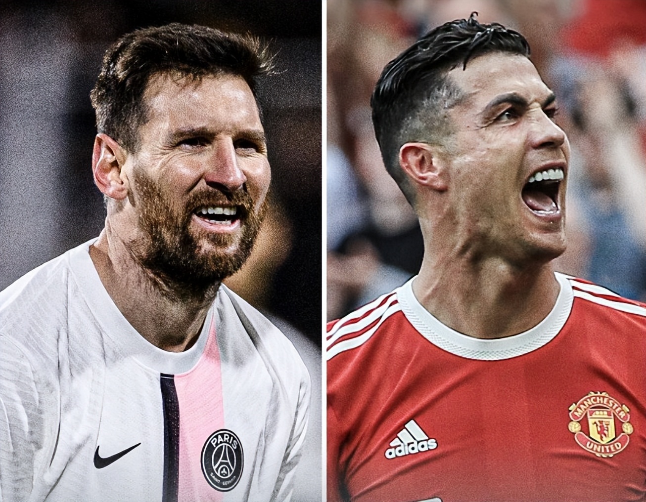 的胜利奠定 的胜利奠定